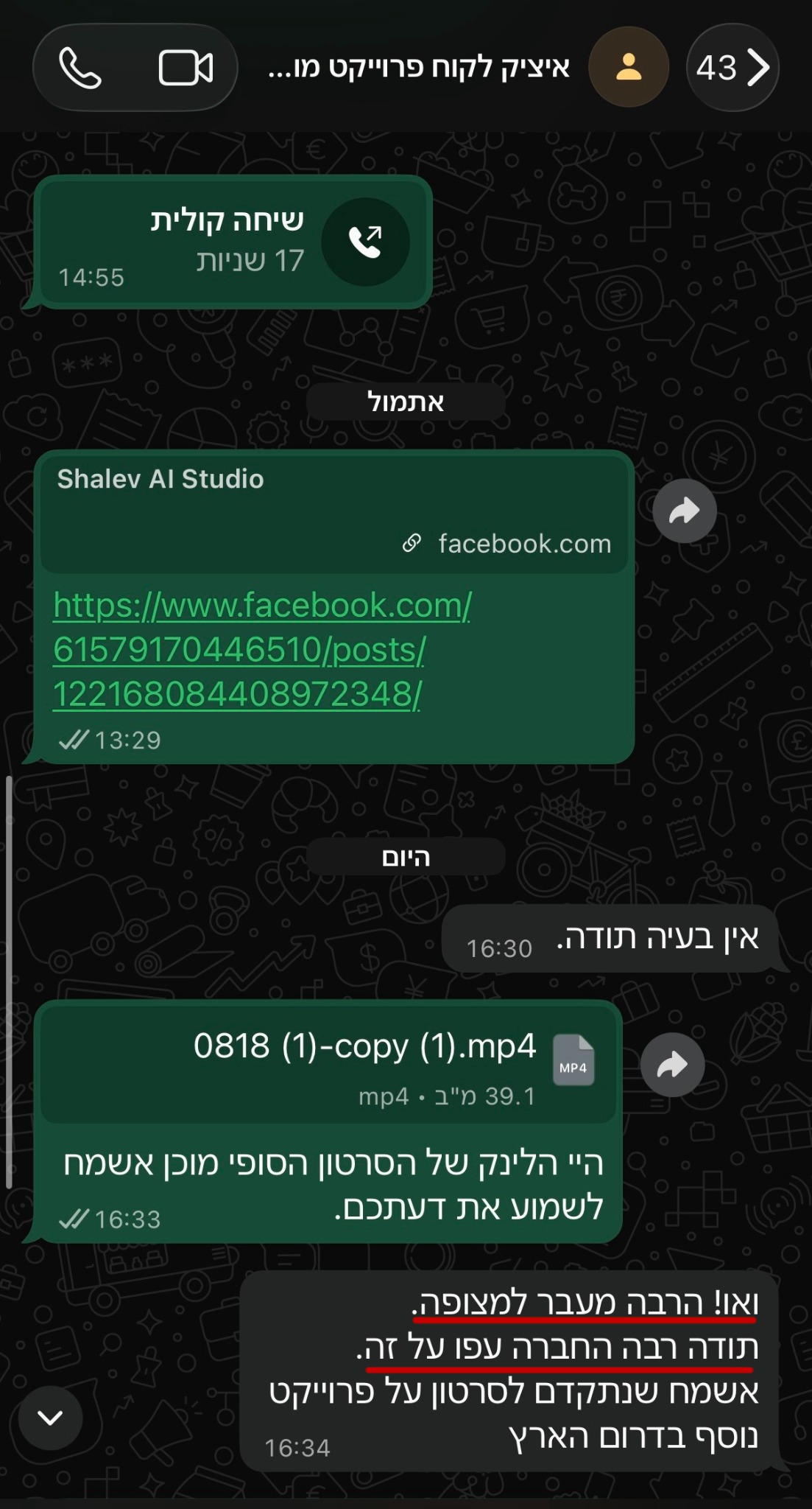 שיחת ווטסאפ עם לקוח 1